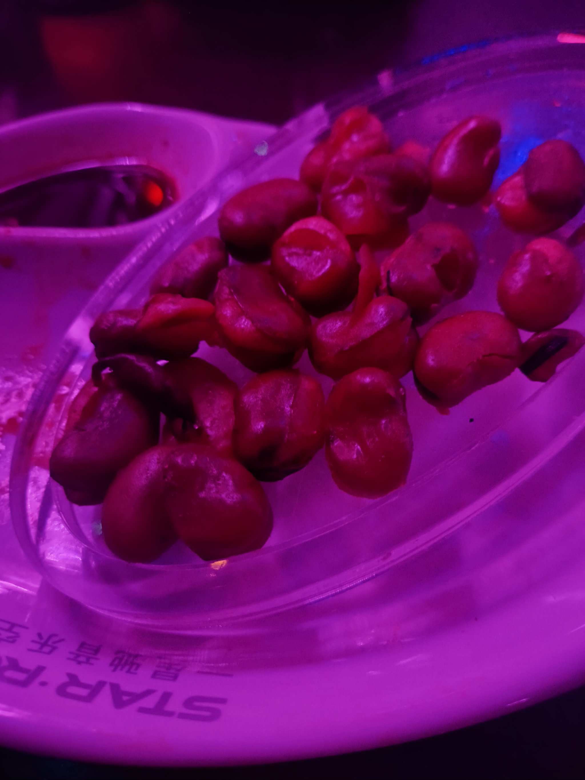 辽源商务KTV计时方式-龙山区ktv预定